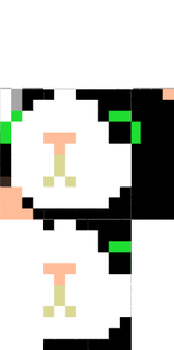 PPSSKIN