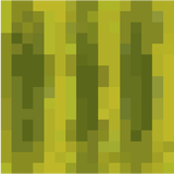 melon
