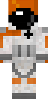 Ant