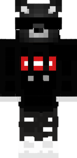 skin styler