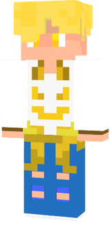 skin de met126101