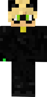 Chat Noir