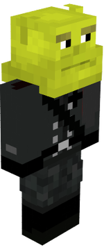 skin mecraft ???