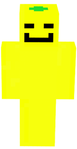 skin MC 3