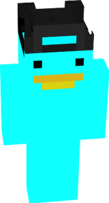 fd