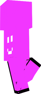 www