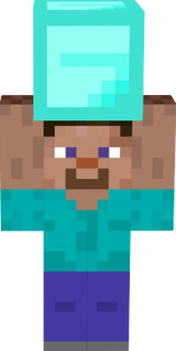 DiaSteve