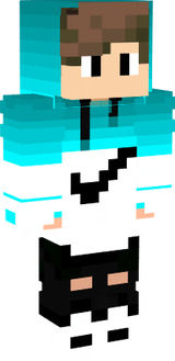 Gamer skin