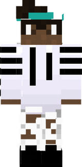 vaillant 