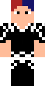 t3
