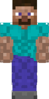 steve
