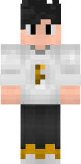 fsfs