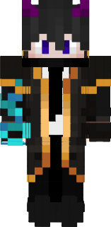 FaceVilnerr