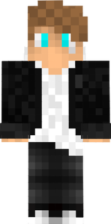 pu1sare 2.0
