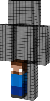 steve