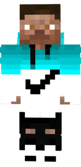 nike steve