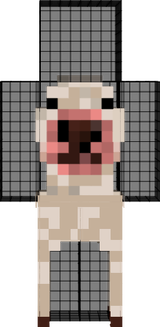 dog 123abc