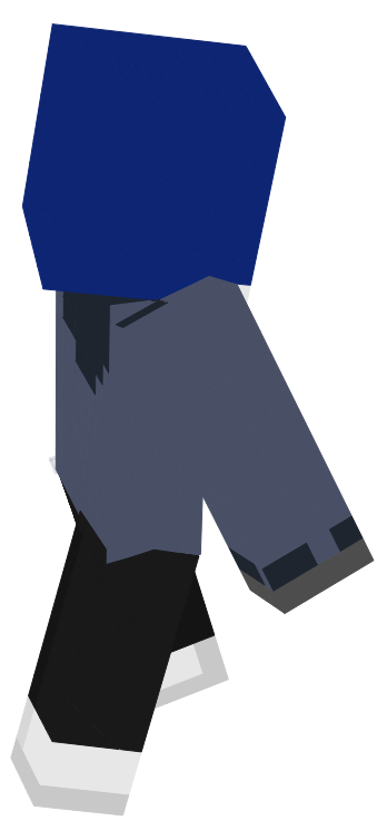 Preview of texture: ski