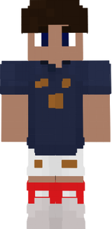 skin minecraft