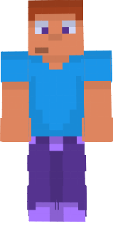 Steve MInecraft Paint