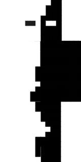 null black whıte