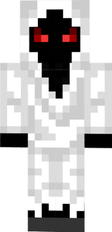entity 303
