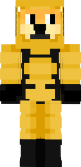 hazmat suit doge