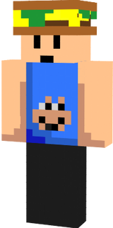 aaaa