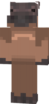 MAIN HIPPO SKIN
