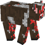 cow red