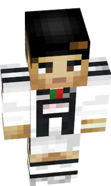 mc skin