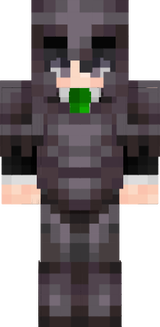 dsfs