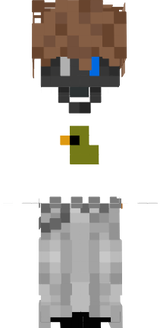 maxisinpan