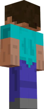 steve