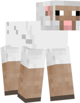 овца 2