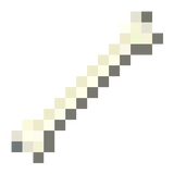 bone