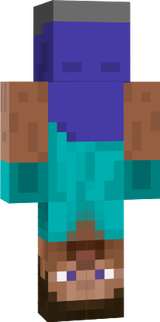 Steveretour