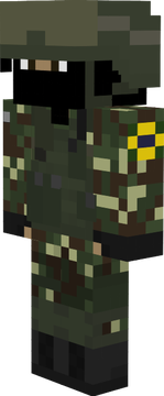 Brazilian Soldier