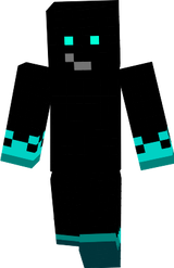 void v4