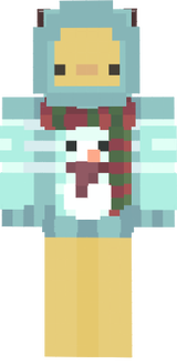 skin 13