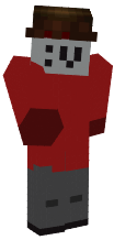 nedans penetreitor