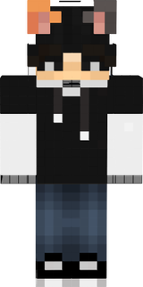 prototipo