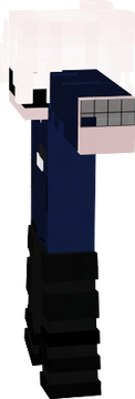 ds
