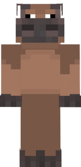 MAIN HIPPO 2 REAL