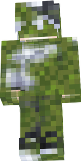 a3