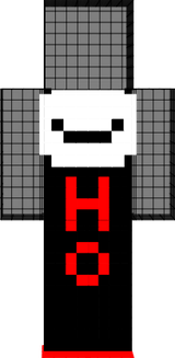 DS ho/