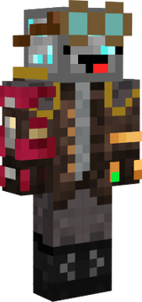 ainsd