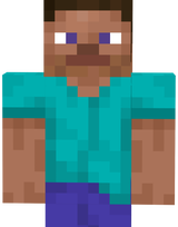 Steve Not Overlay