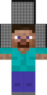 steve anão