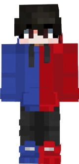 Zave hoodie
